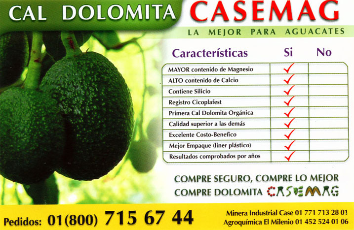 Folleto de Aguacate 
